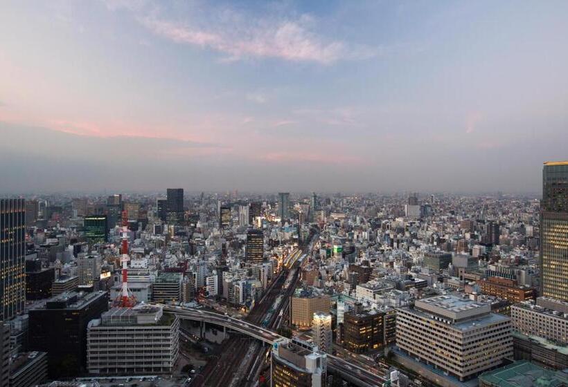 Номер Стандарт, Metropolitan Tokyo Marunouchi