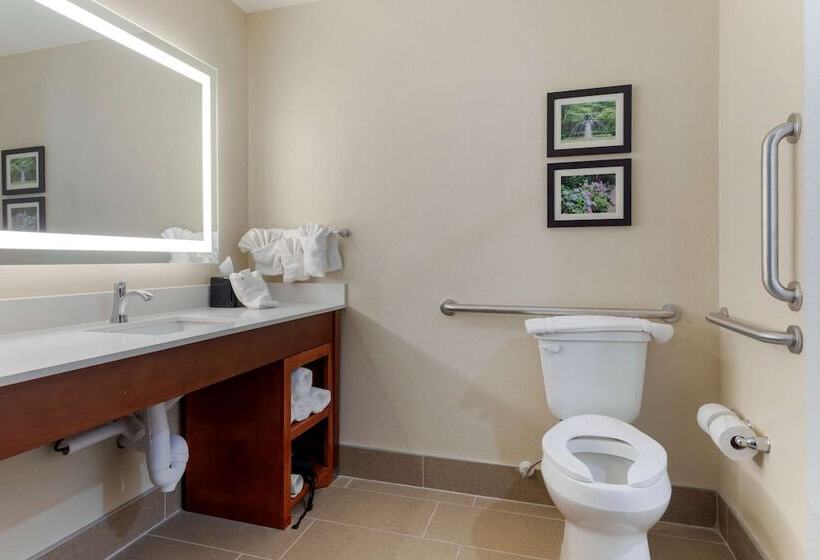 Люкс Адаптированный для Инвалидов, Comfort Suites West Monroe Near Ike Hamilton Expo Center