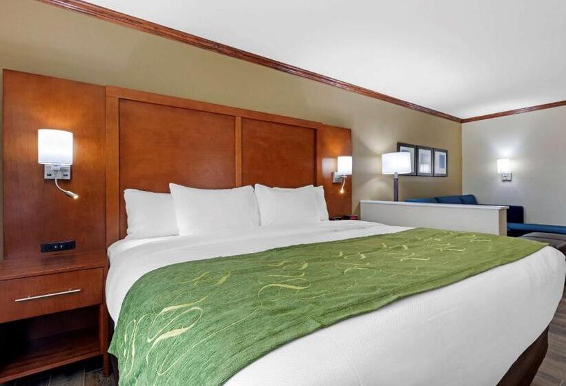 Люкс Кровать Кинг, Comfort Suites West Monroe Near Ike Hamilton Expo Center