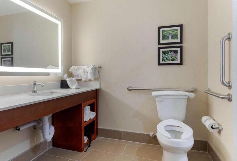 Люкс Адаптированный для Инвалидов, Comfort Suites West Monroe Near Ike Hamilton Expo Center