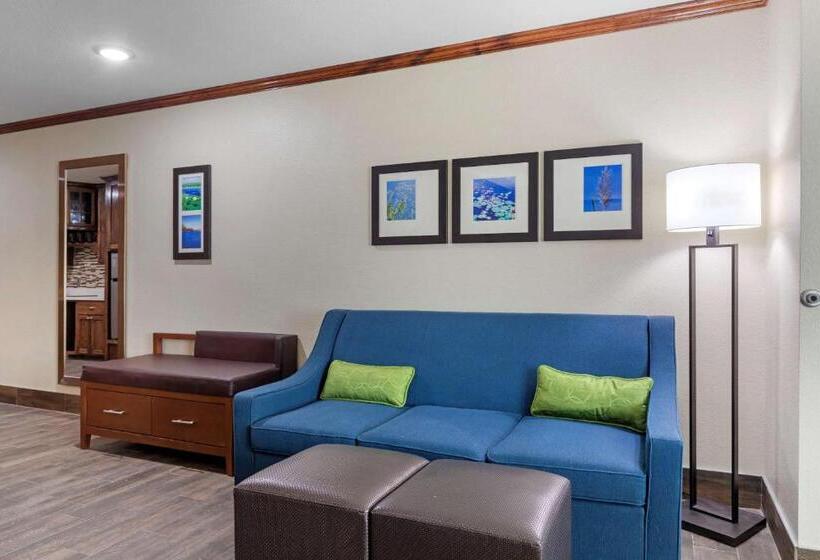 Люкс Адаптированный для Инвалидов, Comfort Suites West Monroe Near Ike Hamilton Expo Center