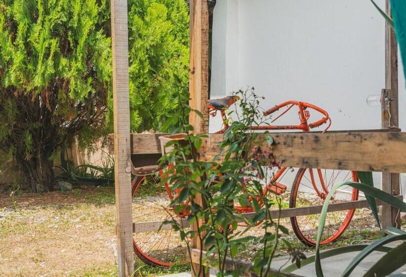מיטה בחדר משותף, Casa Samay
