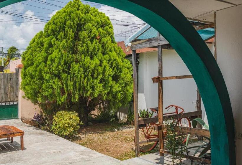 מיטה בחדר משותף, Casa Samay