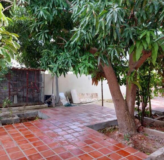 استودیوی استاندارد, Curasita Colour Appartments