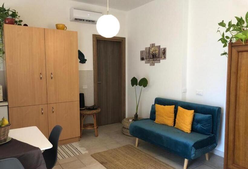استودیوی لوکس, Odegos