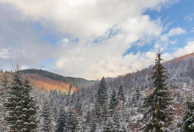 اتاق استاندارد با چشم‌انداز کوهستان, Konopka Forest Home & Spa