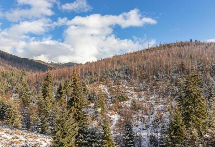 اتاق استاندارد با چشم‌انداز کوهستان, Konopka Forest Home & Spa