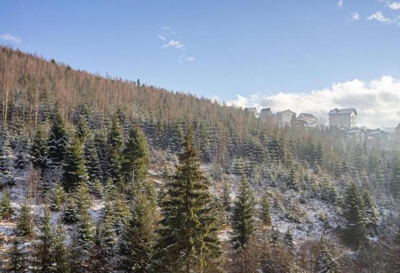 اتاق استاندارد با چشم‌انداز کوهستان, Konopka Forest Home & Spa