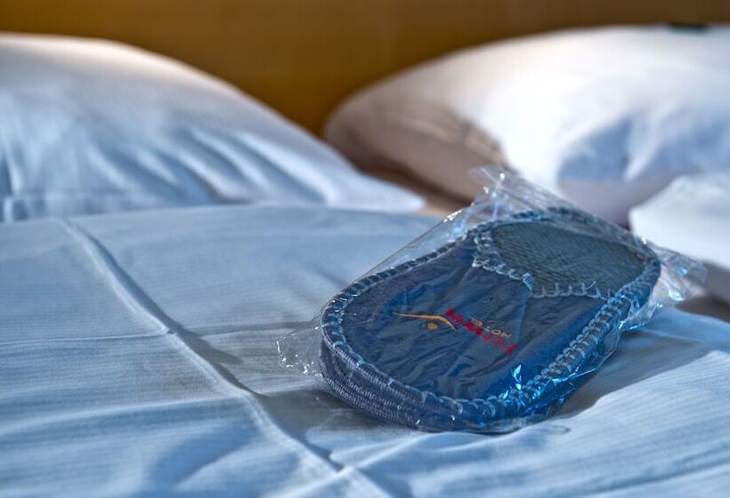 اتاق استاندارد, Town Hotel Wiesbaden   Kleines Privathotel In Bestlage