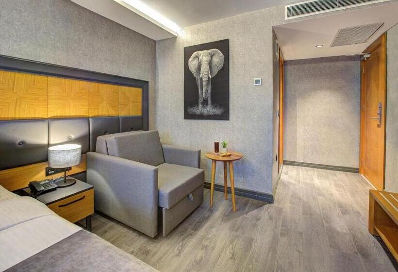 اتاق سوپریور, No12 Hotel Sultanahmet