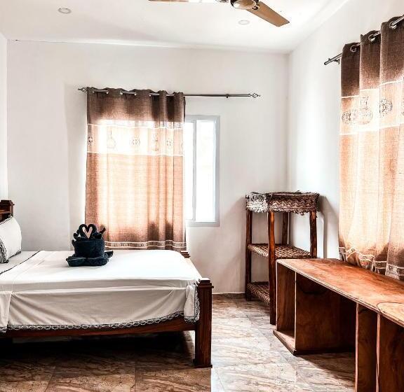 Номер Стандарт, Cezere The Palm