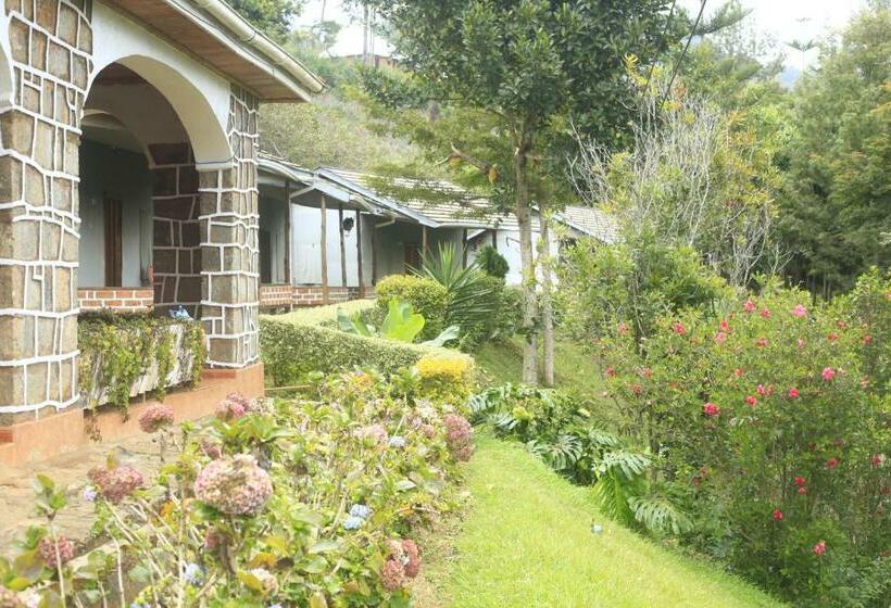 اتاق سوپریور, Lushoto Executive Lodge