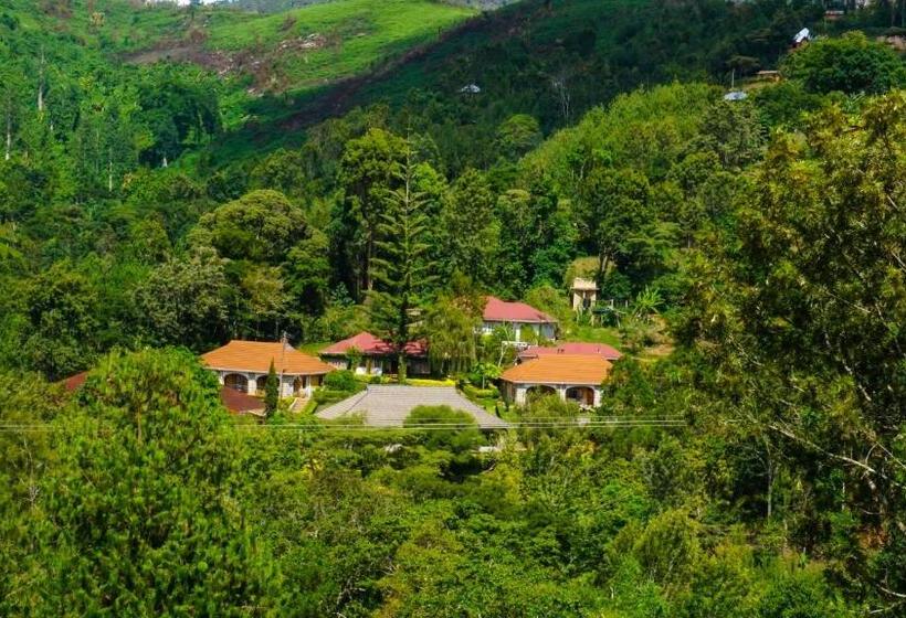 اتاق سوپریور, Lushoto Executive Lodge