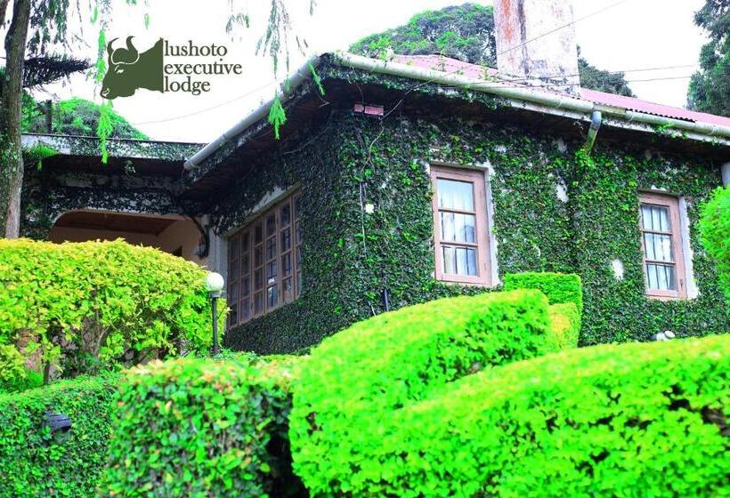 اتاق سوپریور, Lushoto Executive Lodge