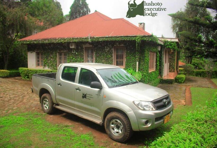 اتاق سوپریور, Lushoto Executive Lodge