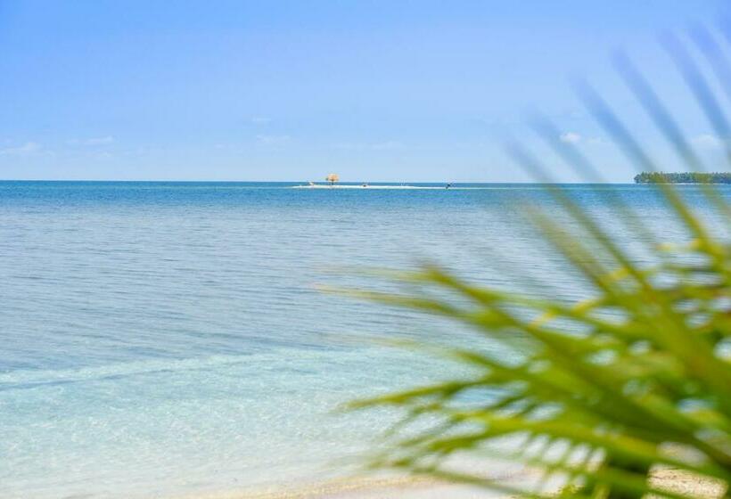 سوییت, Calala Island