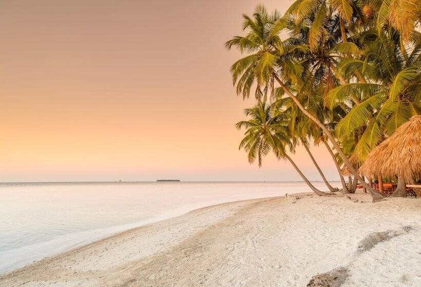 سوییت, Calala Island