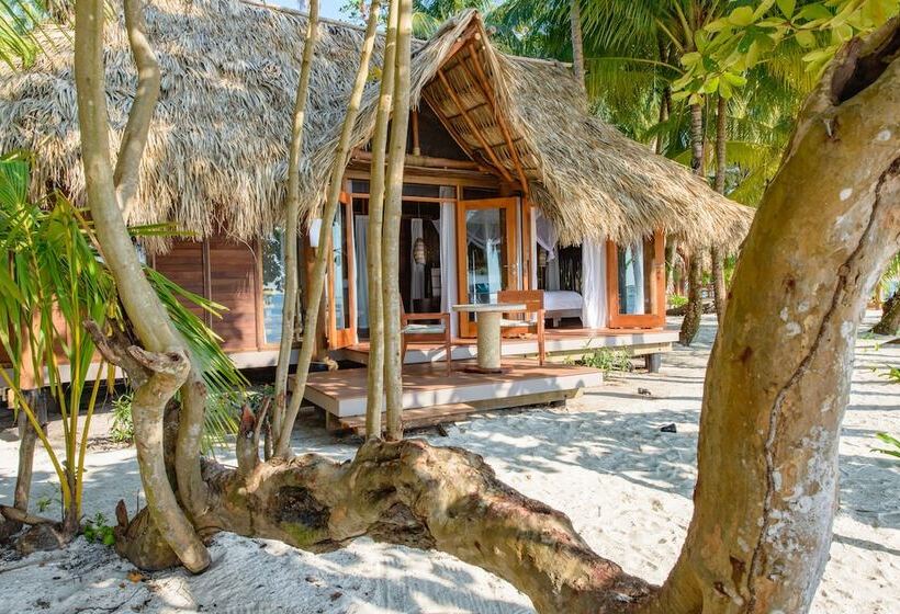 سوییت, Calala Island