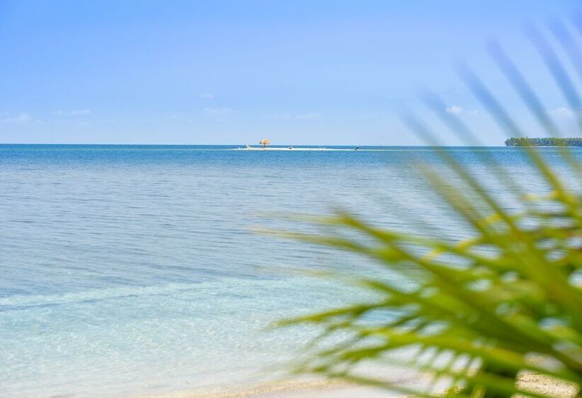سوییت, Calala Island