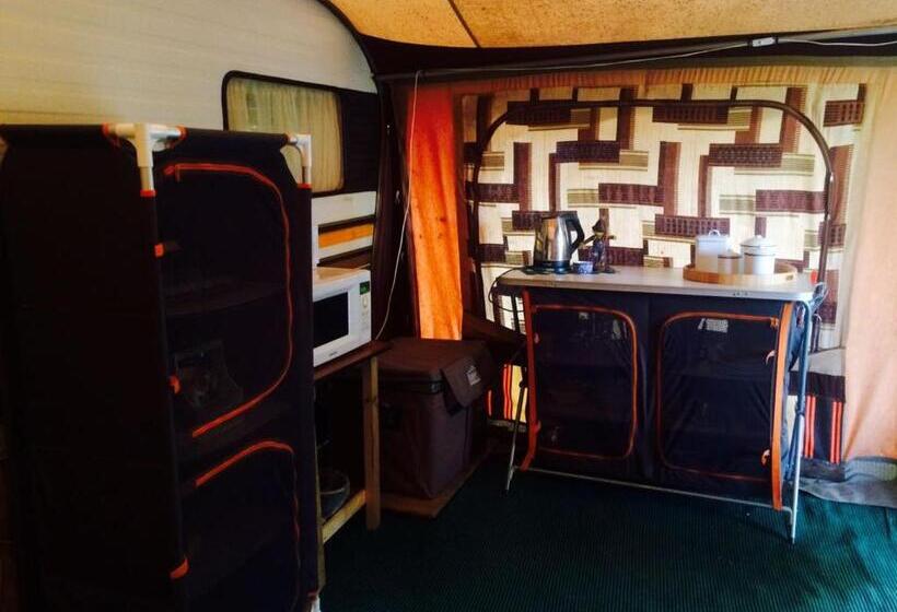 Номер Стандарт, Kalahari Camelthorn Guesthouse And Camping