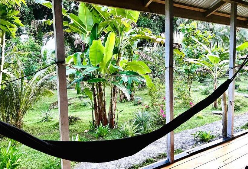 Номер Стандарт Совместная Ванная, Sanctum Una Una Eco Dive Resort