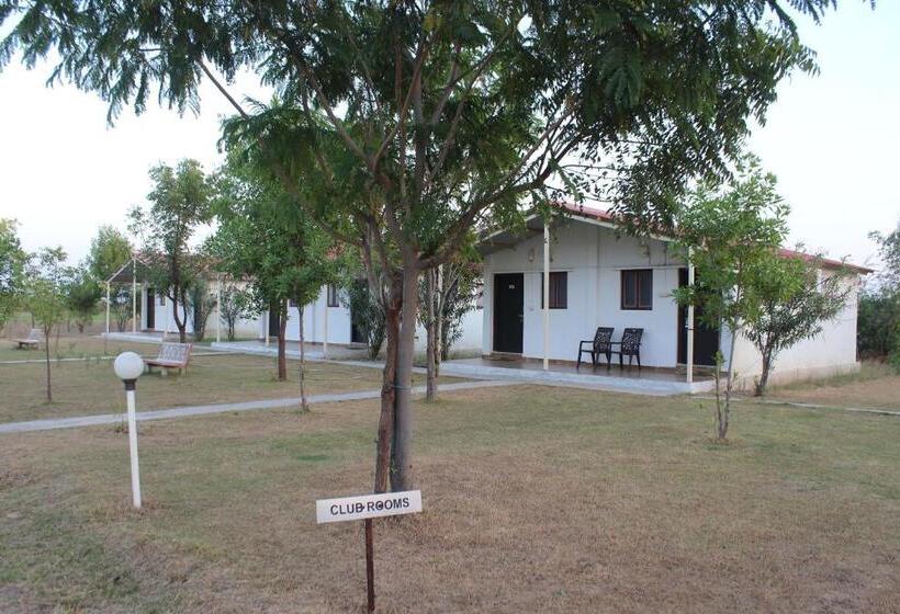 标准间, Little Rann Resort