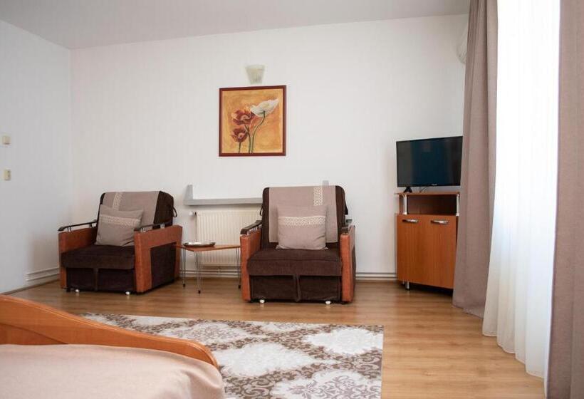 اتاق استاندارد, Motel Via Targu Mures