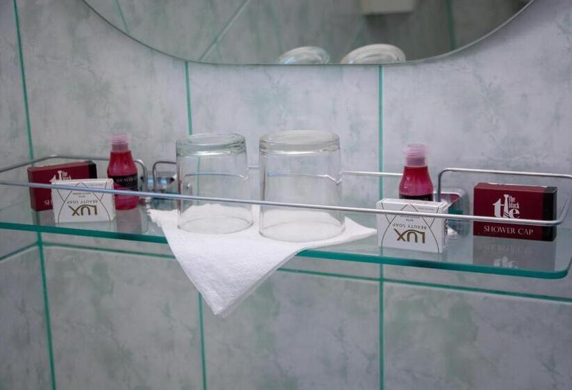 اتاق استاندارد یک نفره, Motel Via Targu Mures