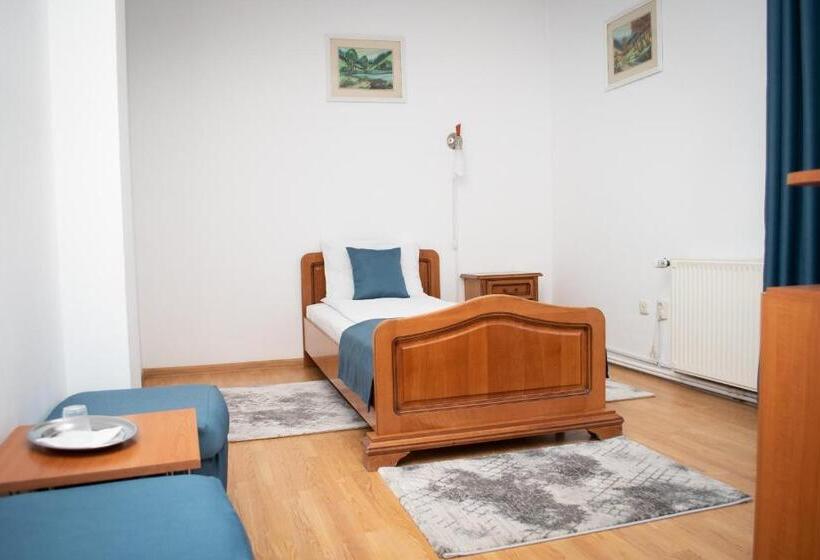 اتاق استاندارد یک نفره, Motel Via Targu Mures