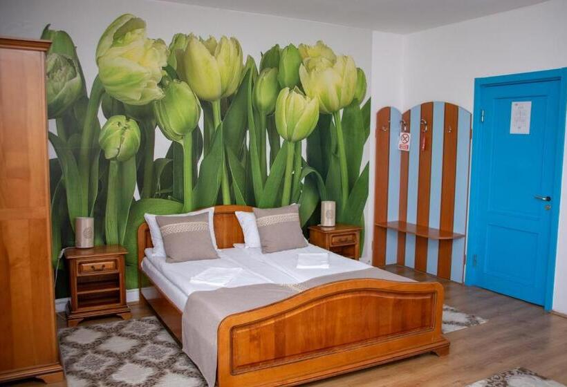 اتاق استاندارد با تراس, Motel Via Targu Mures