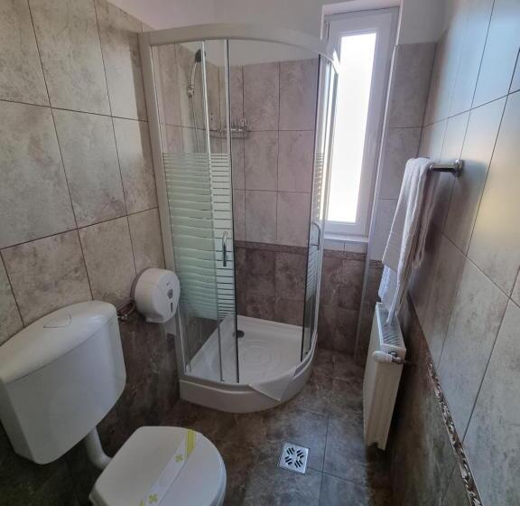 اتاق استاندارد یک نفره, Motel Via Targu Mures