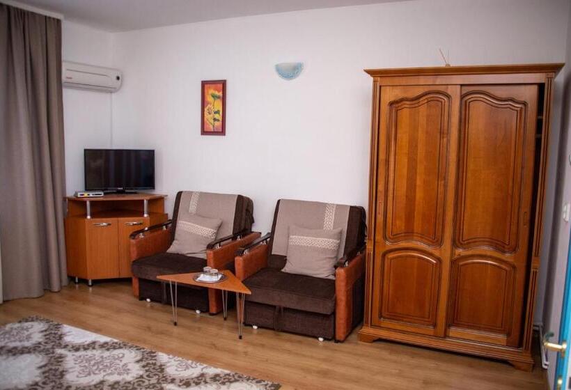 اتاق استاندارد با تراس, Motel Via Targu Mures
