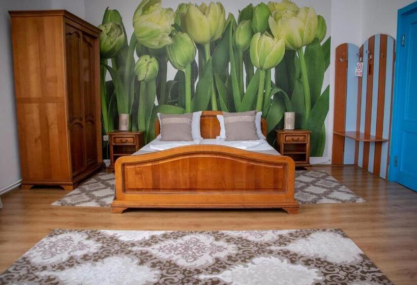 اتاق استاندارد با تراس, Motel Via Targu Mures