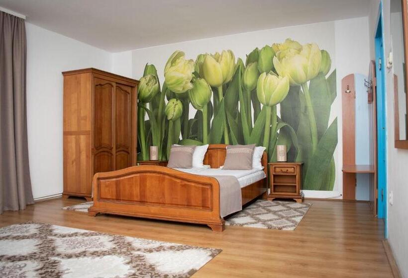 اتاق استاندارد با تراس, Motel Via Targu Mures