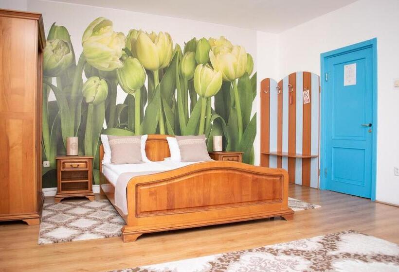 اتاق استاندارد با تراس, Motel Via Targu Mures