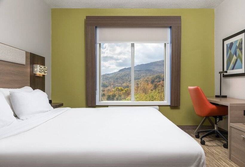 Suite, Holiday Inn Express Hotel & Suites Chattanooga Lookout Mountain, An Ihg