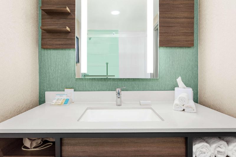 اتاق استاندارد با تخت بزرگ, Hilton Garden Inn Allentown Bethlehem Airport