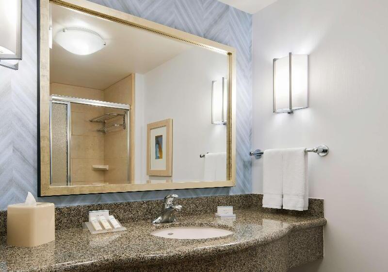اتاق استاندارد با تخت بزرگ, Hilton Garden Inn Dallas Richardson