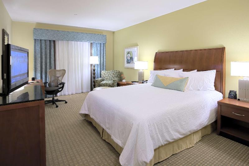 اتاق استاندارد با تخت بزرگ, Hilton Garden Inn Dallas Richardson