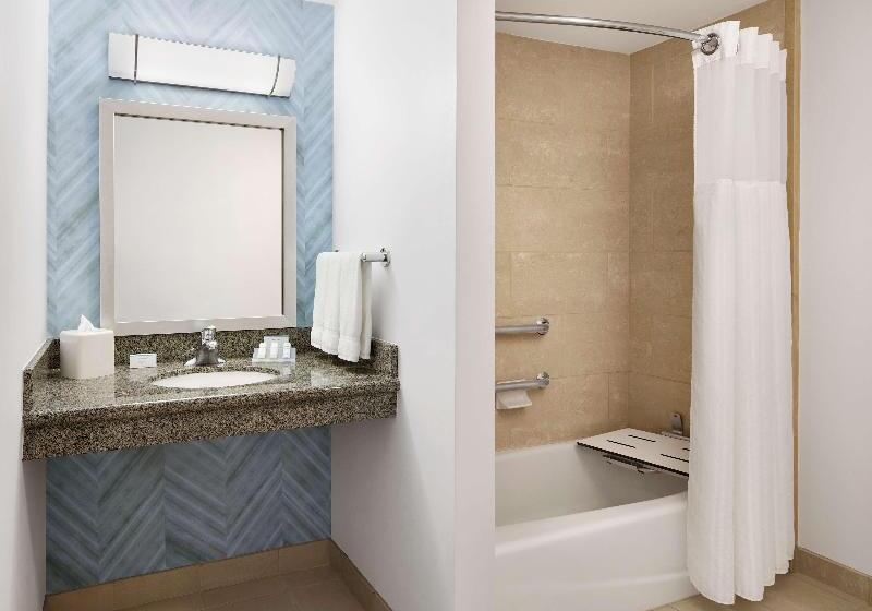اتاق استاندارد با تخت بزرگ, Hilton Garden Inn Dallas Richardson