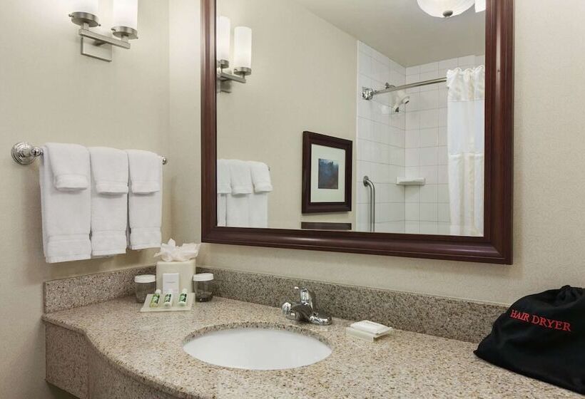 חדר דלוקס, Hilton Garden Inn Wisconsin Dells