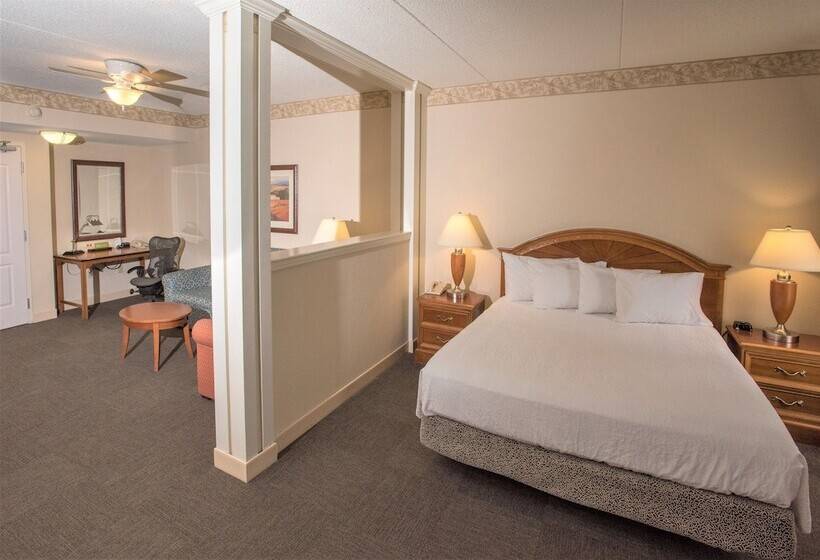Полулюкс, Hilton Garden Inn Wooster