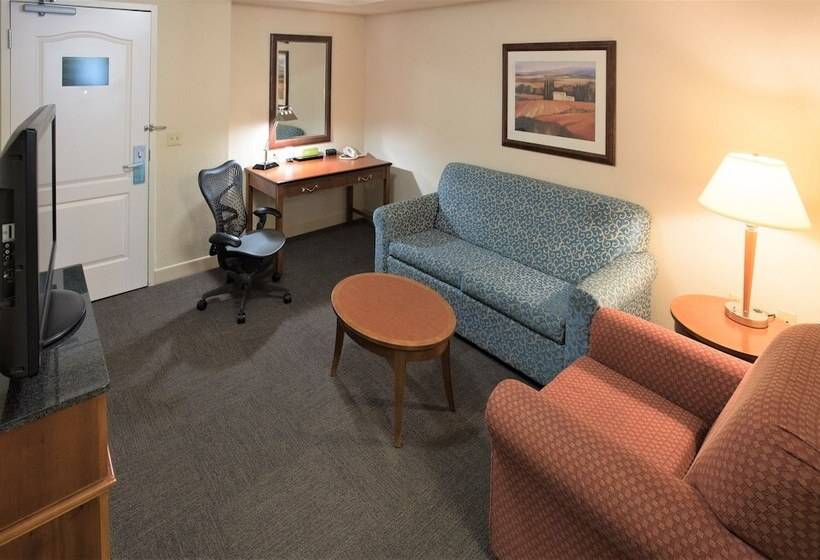 Полулюкс, Hilton Garden Inn Wooster