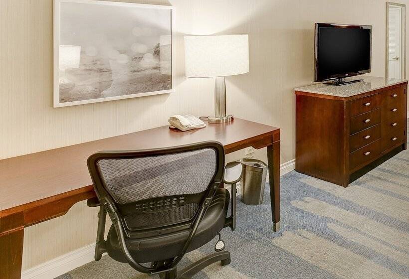 장애인을 위한 킹사이즈 침대 스탠다드 룸, Hilton Irvine/orange County Airport