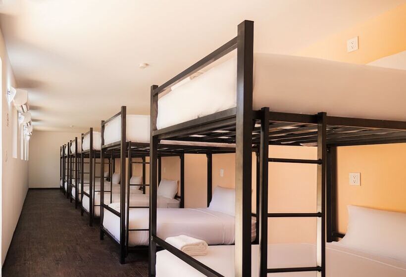 تختخواب در اتاق مشترک, Colorbox Beds And Rooms