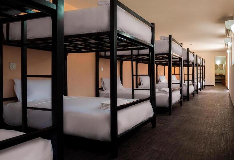 تختخواب در اتاق مشترک, Colorbox Beds And Rooms