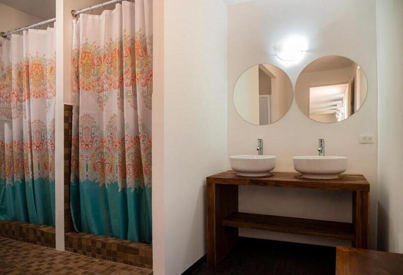 تختخواب در اتاق مشترک, Colorbox Beds And Rooms