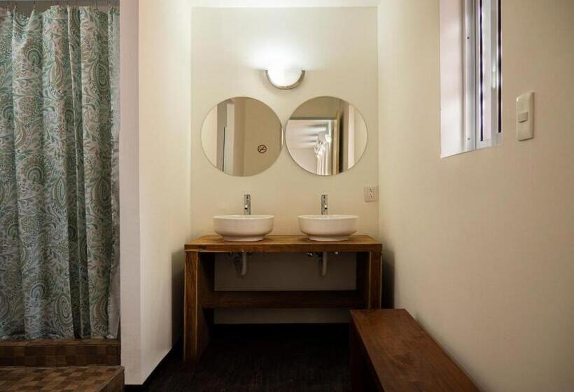 تختخواب در اتاق مشترک, Colorbox Beds And Rooms