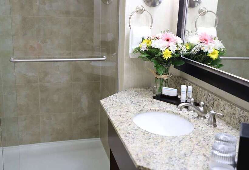 سوییت, Embassy Suites By Hilton Nashville At Vanderbilt