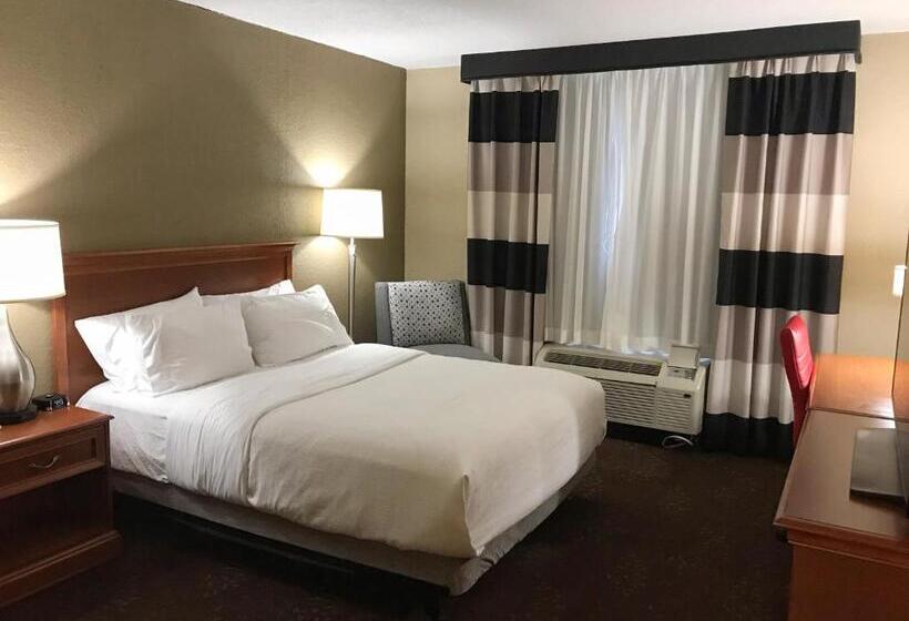 장애인을 위한 스탠다드 룸, Holiday Inn Alexandria, An Ihg